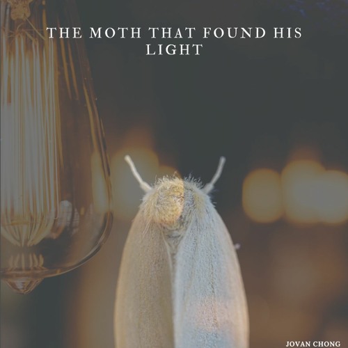 The Moth That Found His Light
