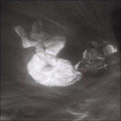 Lover / / Over the Moon