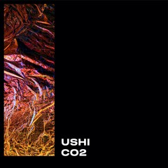 USHI - CO2