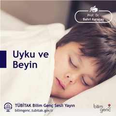 1- Uyku ve Beyin - Neden uyuyoruz?