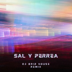 Sal y Perrea - Dj Briz House Remix