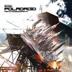 Poladroïd - Entropy Amplifier