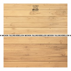 PREMIERE: Michon – Falling (Original Mix) [ Natura Viva Black ]