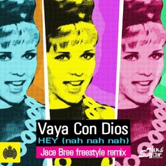 Vaya Con Dios - Neh Nah Nah (Jace Bree Freestyle Remix)(radio Edit)