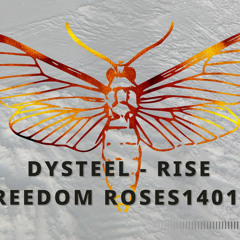 Dysteel - Rise (sg75 freedom Roses1401 remix)