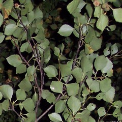 Dovre/Mørkekjøring - ny mix