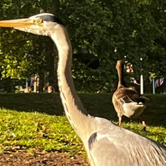 Last Time I Met You (feat. Vocal mistakes and bad licks)