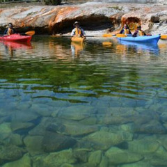 Review Special Price Lake Yellowstone Half Day Kayak Tours Past Geothermal Features