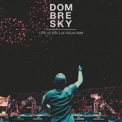 Redlight ft. Sweetie Irie vs. 2 Unlimited - Let The Zum Zum Control Your Body (Dombresky Mashup)