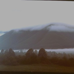 Where the Fog Lingers