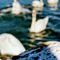 01 REC-2025-03-15 Peace! (6)