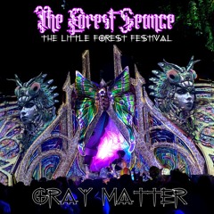 The Forest Seance - The Little Forest Festival 23/4 Live Mix