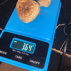 Slit My Throat Please feat.Dandy