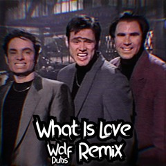 HADDAWAY - WHAT IS LOVE (WOLF DUBS REMIX)
