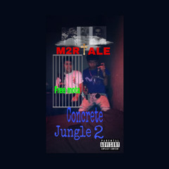 M2R ALE-fighting battles