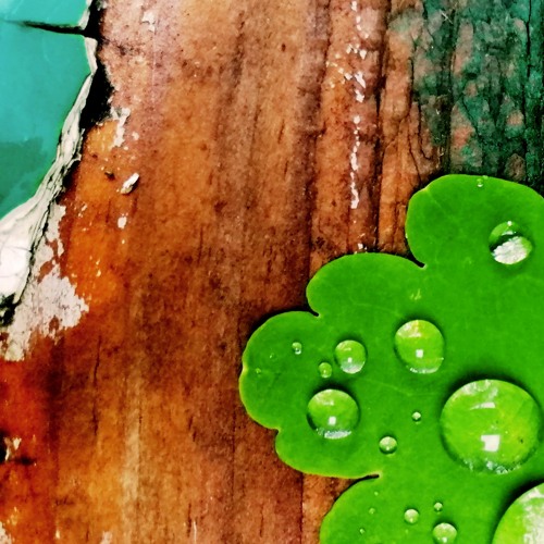 JLMKID - Escape From The Metropolis