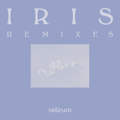 Remix Works