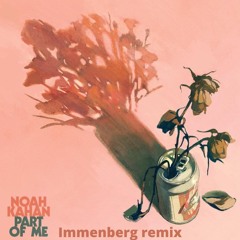 Noah Kahan - Part Of Me (Immenberg Remix)