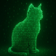 code / avtomat beatz