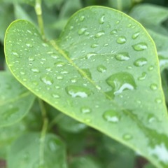 Mountain ThunderStorm