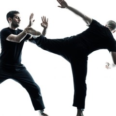 Krav Maga (single edit)