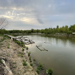 Her and the banks- Tyler Childers(cover).mp3