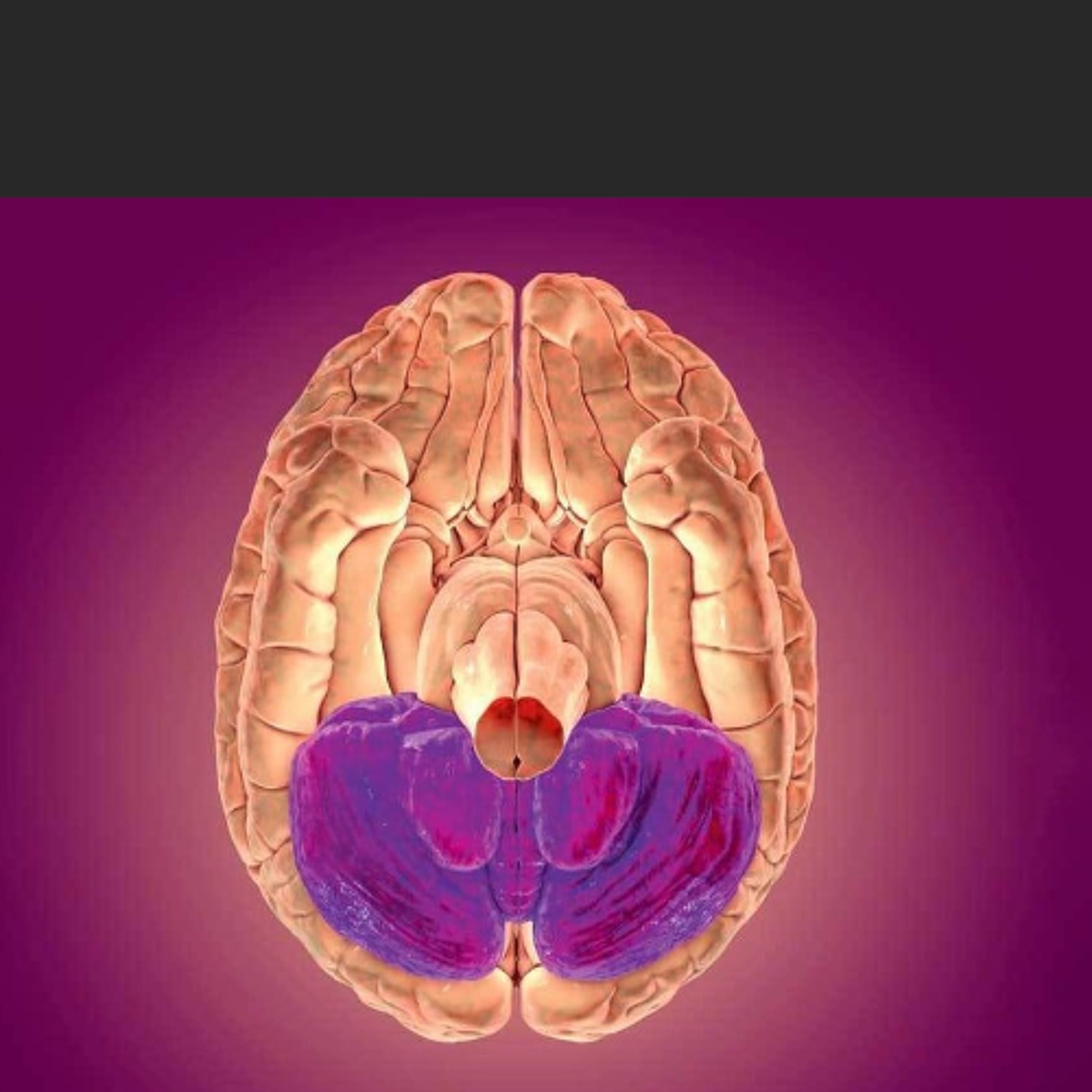 Radio Gandharva Gana