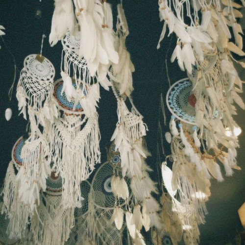 #karma w margoproxy nic