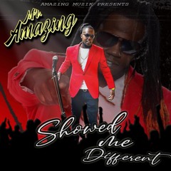 Mr Amazing-Showed Me Different