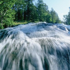 torrent
