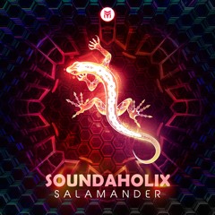 Soundaholix - Salamander (Original Mix) OUT 8.10.21