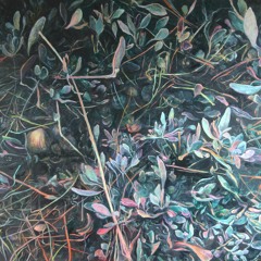 Harriet Tarlo reads Saltwort for Entwined. Judith Tucker