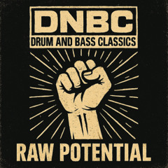 DNBC - RAW POTENTIAL
