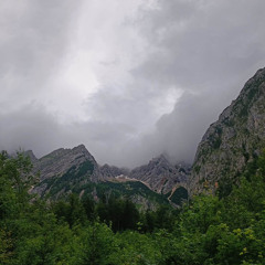 Owls Deer rut - Reverb - Alps valley - MKH8020