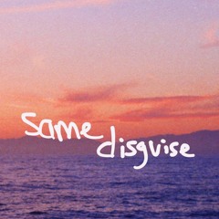 same disguise