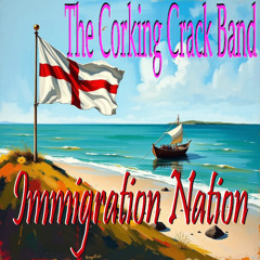 Immigration Nation