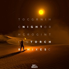 Denzel Moiz - Night Torch (Naisier Remix)