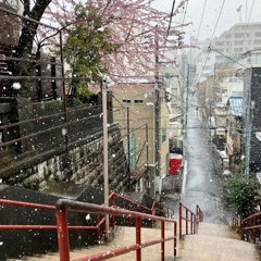 ♫ this feeling。。。ずっと前から好きでした。  @kirani