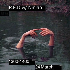 R.E.D w/ Ninian - Noods Radio (24.03.24)