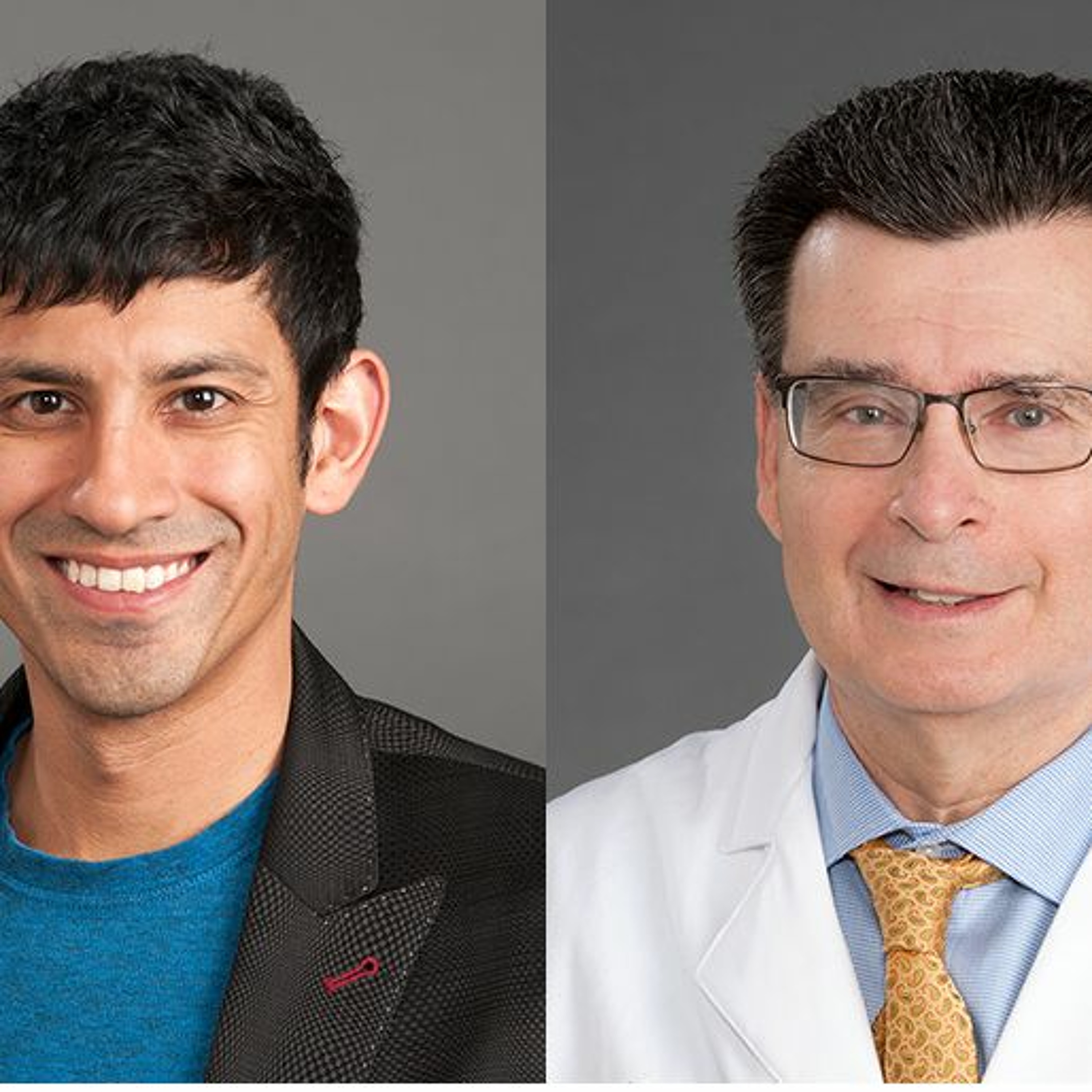 H.I. Ep. 45 - The ALHS with Drs. Ajay Dharod and Gary Rosenthal episode artwork
