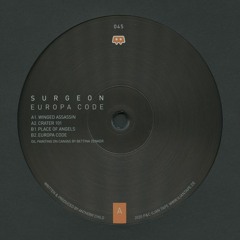 Surgeon - Place Of Angels