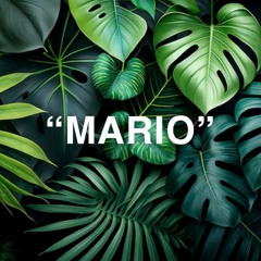 MARIO-New Live Set 1
