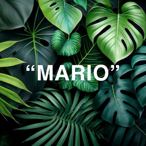 MARIO-New Live Set 1
