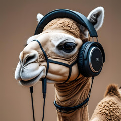 YallaDanz @ Der Ponyhof