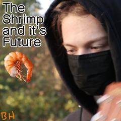 The Shrimp Song