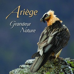 Bande Son Ariege Grandeur Nature - volume 1 -  BOCAGE PRINTEMPS