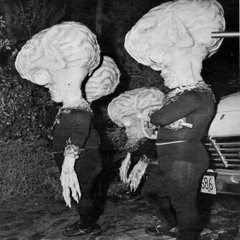 two butch margarine foowls and 7 restless suspects - pretty crazy show