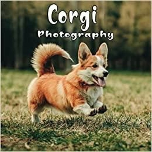 Stream (Download) The Photography 20232024 Calendar With