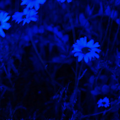 Waiting (ft. Nia Nadurata)