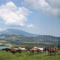 @nojoooqfreestyle   @takeno